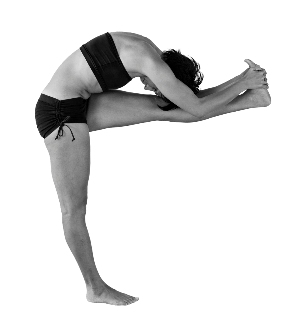 Bikram Yoga  Bikram Wellness